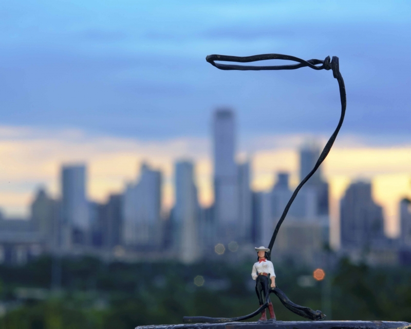 Little Cowgirl with Lasso by artist Alicia Wells